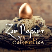 Zoe Napier Group logo - Similar company to J G Wealth Ltd Partner Practice Of St. James'S Place Wealth Management