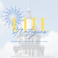 LITE Strategies LLC logo - Similar company to Taylor Uhe Llc
