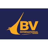 Brightview International (BVI) logo - Similar company to Baudrand New Tech