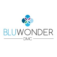 Blu Wonder DMC logo - Similar company to Bixcard