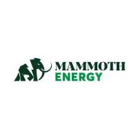 Mammoth Energy logo - Similar company to Wattcrop