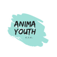 Anima Youth logo - Similar company to Ment4