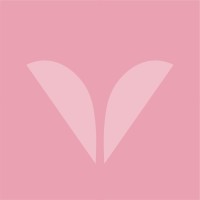 Vouss Cosméticos logo - Similar company to Betterme Cosméticos