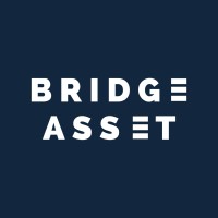 Bridge Asset logo - Similar company to Vecchi Editore - Abaco Edizioni