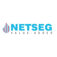 NETSEG logo - Similar company to Itech Devices