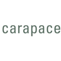 Carapace logo - Similar company to Layer 9 Information Security