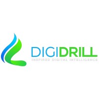 Digital Drilling Data Systems, LLC logo - Similar company to Kayan كيان