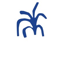 Associação Matagal logo - Similar company to Mapas - Mapeamento, Análise, Prognóstico E Ações Sustentáveis