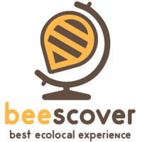 Beescover - Best Ecolocal Experience logo - Similar company to Meta Line Digital Agency