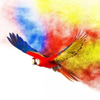 Avian & Exotic Animal Medical Consulting logo - Similar company to Tfalcon