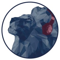 Silent Cinema logo - Similar company to Colorphyll