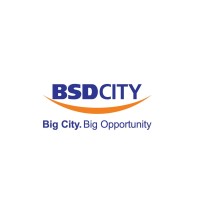 BSD City logo - Similar company to D-Hub Special Economic Zone