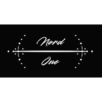 Nord One Consulting, LLC logo - Similar company to Peak Values Consulting