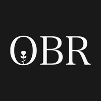 OBR Investing logo - Similar company to Optionsswing Inc.