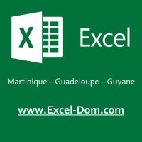 EXCEL-DOM logo - Similar company to Webchuchote