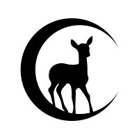 Lulugraphy logo - Similar company to Infinity Deutschland E.V.