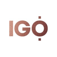 IGO Laser Skin Clinic logo - Similar company to Phoenix Physiotherapy Clinic