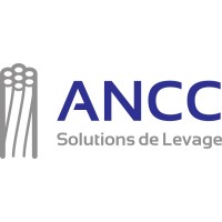 ANCC - Solutions de levage logo - Similar company to Accel Vente De Matériel De Levage Et D'Arrimage