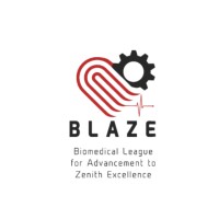 Blaze TKMIT logo - Similar company to Ieee Sb Tkmit