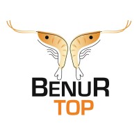 Benur Top Group logo - Similar company to Pt Bisca Innovation Indonesia