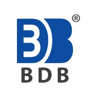 BDB India Private Limited logo - Similar company to Quesrow Research & Strategy Co.