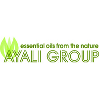 Ayali Group logo - Similar company to Dreamzcraft Info Solution Pvt.Ltd