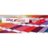 Eurostar Duplicopy logo - Similar company to Fpmi Services Mexico