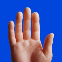 HELLO, HOOMAN! logo - Similar company to Portlike