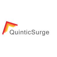 QuinticSurge Limited logo - Similar company to Fintelligenx