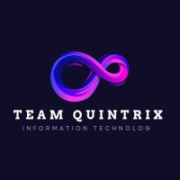 Team Quintrix logo - Similar company to Punjab Group Of Colleges