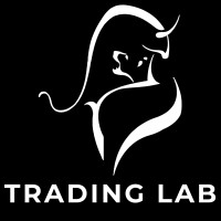 Trading Lab logo - Similar company to Akademia Analiz