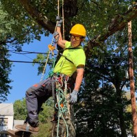RICH TREE SERVICE INC. logo - Similar company to A & W Tree Service