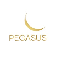 Pegasus logo - Similar company to Dimago