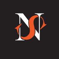 Nexas Solution logo - Similar company to Dev4You