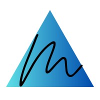 Metresa ITech Solutions logo - Similar company to Evolet Technologies