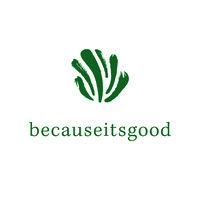 becauseitsgood logo - Similar company to Rebel Communication