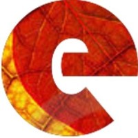 eStomi Technologies logo - Similar company to Aagey.Com