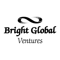 Bright Global Ventures, Inc. logo - Similar company to Bright Side Global
