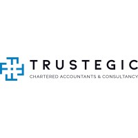 Trustegic Chartered Accountants and Consultancy logo - Similar company to Skill Set Consulting