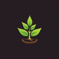 Lawora Soft logo - Similar company to E-Soft Business Software Ltd