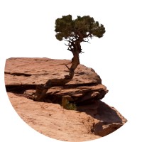 Western Ridge Partners