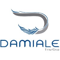 Damiale Trading logo - Similar company to Advantis Trading