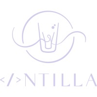 Intilla AB logo - Similar company to Intilli