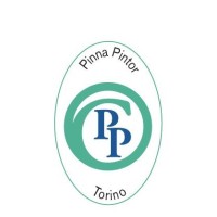PINNA PINTOR SRL logo - Similar company to Areamedical24 S.R.L.