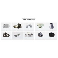 Hebei Haihao Group Premium Pipeline Equipments Co.,Ltd logo - Similar company to Eztrak Software | Turnaround Management & Cost Control