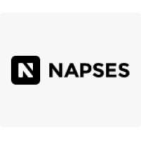 Napses Technologies logo - Similar company to Smartuxdesign