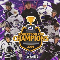 Lone Star Brahmas logo - Similar company to El  Paso Rhinos