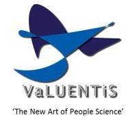 VaLUENTiS Ltd logo - Similar company to Dfyn Living