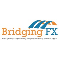 BRIDGING FX LIMITED logo - Similar company to Bnesim