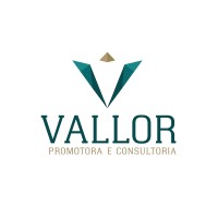 VALLOR PROMOTORA logo - Similar company to Vallor Consultoria Em Gestão De Benefícios